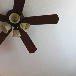 Meet your Posher, Joshua